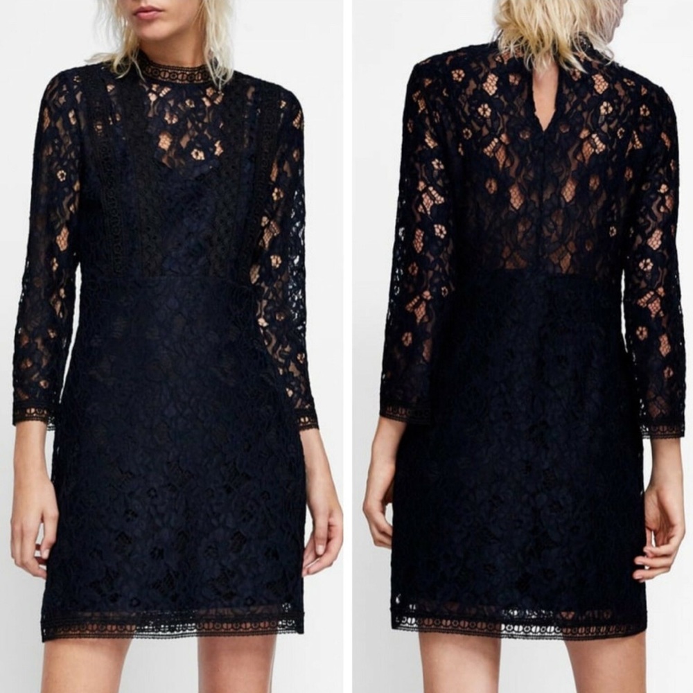 ZARA GUIPURE CONTRASTING LACE BLUE A-LINE DRESS BRAND NEW WITH TAGS LARGE - Picture 2 of 8